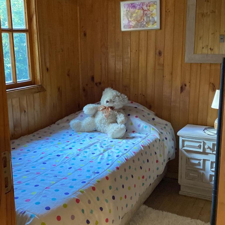 Cabañas caburgua - Apartamento de 1 dormitorio - 19