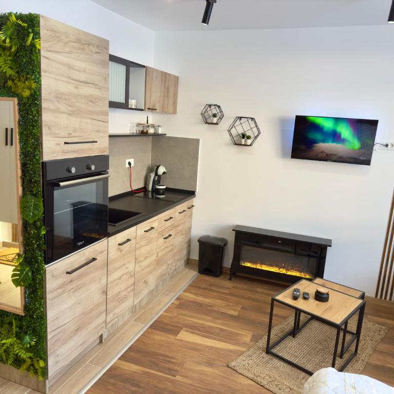 Coco Kop studio - One-Bedroom Apartment - 4
