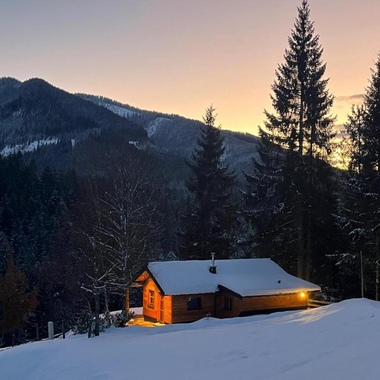 Hütte Neuhaus - Haus mit 1 Schlafzimmer - 21