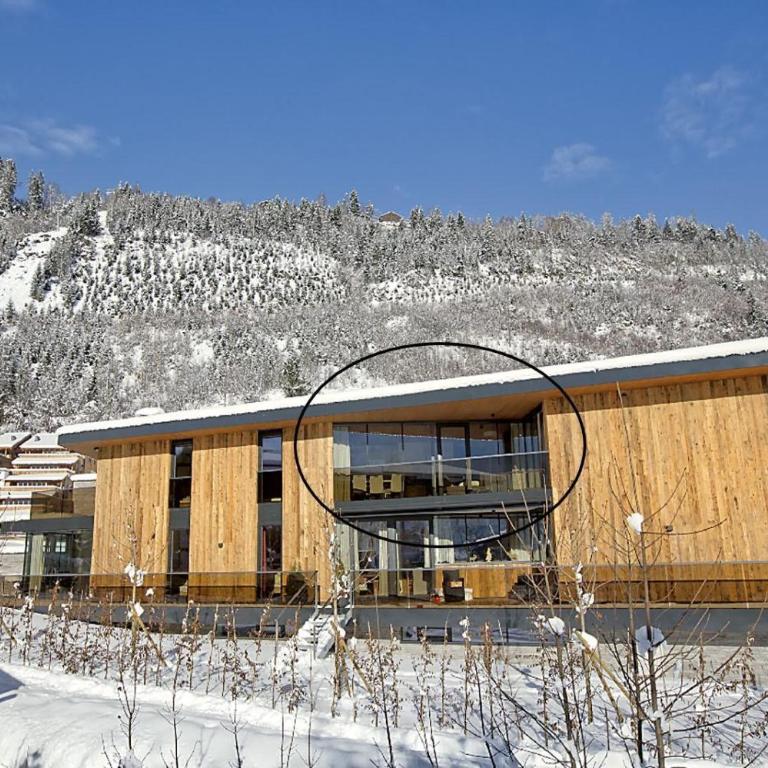 Residenz Wildkogelbahnen Top 21 - Ferienhaus - 4