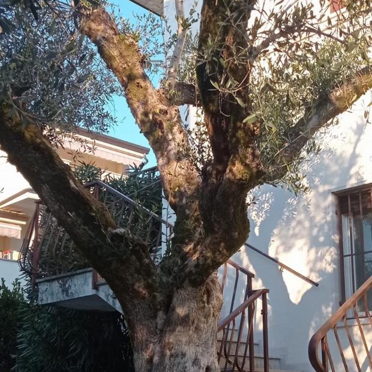 Appartamento Casa Anna - Appartamento con 2 Camere da Letto - 39