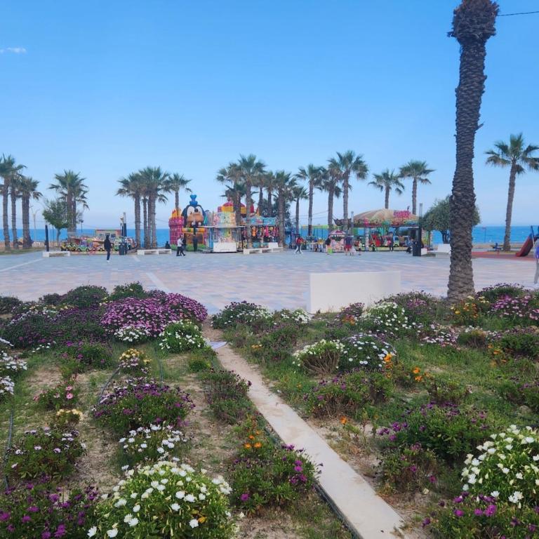 Casa La Mata - Apartamento de 1 dormitorio - 20