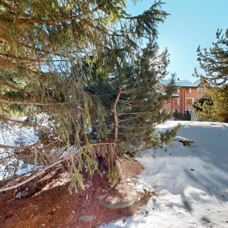 Abitaziun Las Agnas - Celerina - Apartment mit Balkon - 19