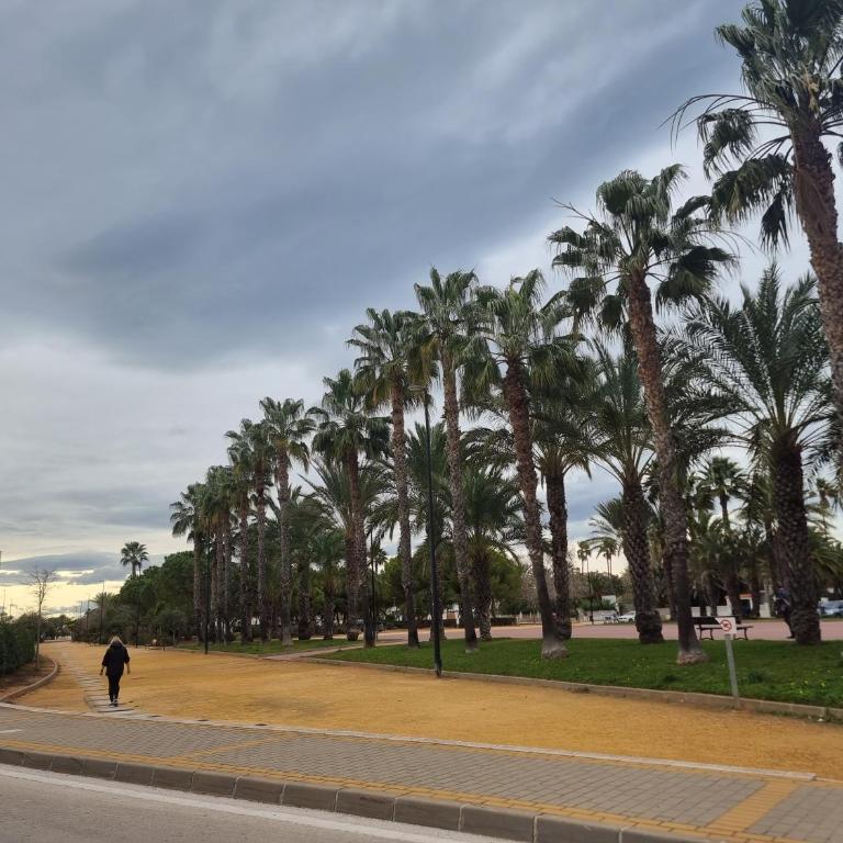 Paraiso del Sol - Apartamento de 3 dormitorios - 53