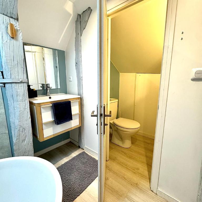 L'atypique Orléanais - Apartment mit 1 Schlafzimmer - 18