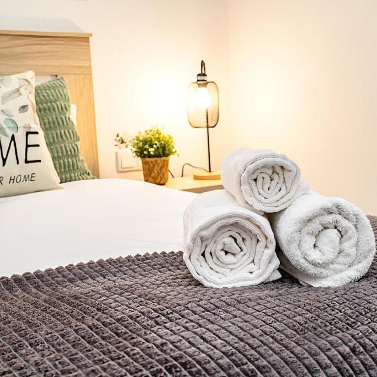 Garden Gran Via Luxury Aire ac PARKING privado by Apartamentos Logrono - Apartamento Deluxe de 3 dormitorios - 50