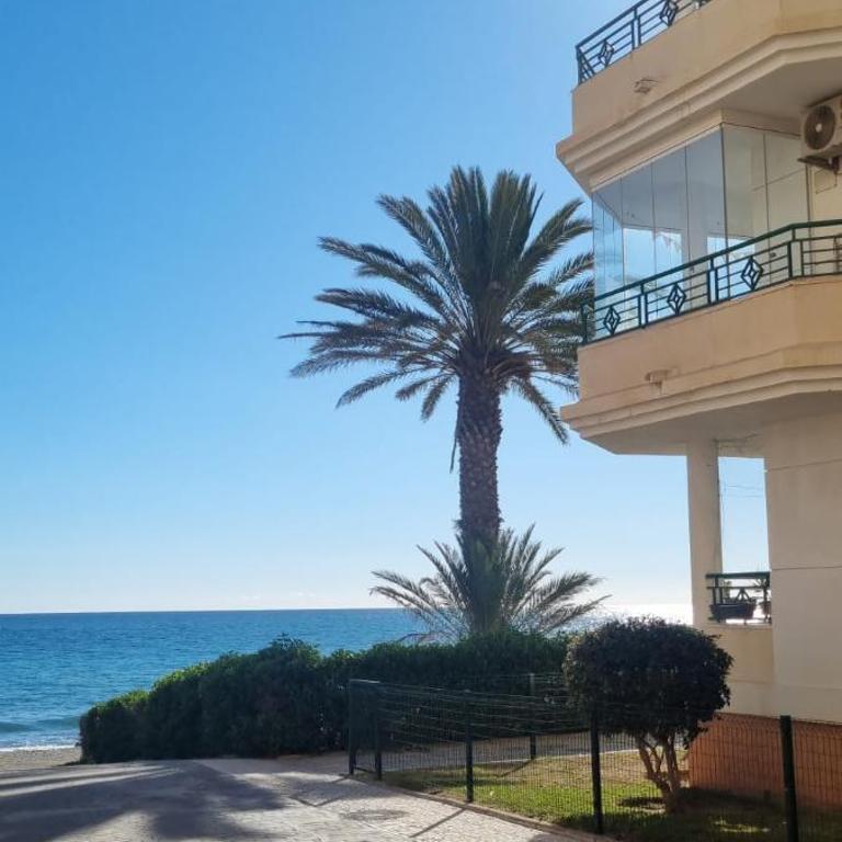 Wild Palms Apartment - Apartamento de 2 dormitorios - 10