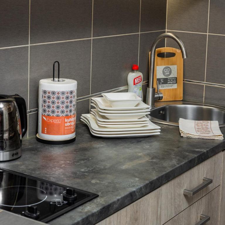 Adzic Apartments - Studio with Balcony (2 Adults) - 21