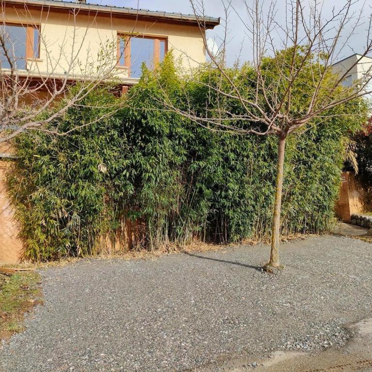 La Maison du Plongeoir 14 pers grande terrasse vue lac de Serre Ponçon - Maison 6 Chambres - 4