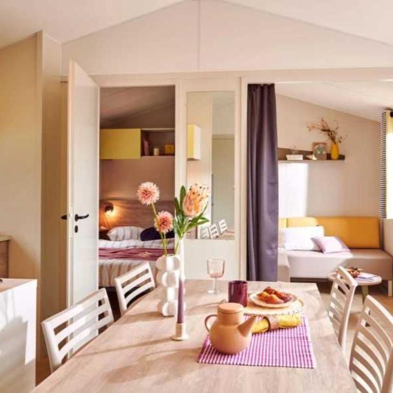 ZEcamping animaux acceptés club enfant espace aquatique - Casa Mobile con 3 Camere da Letto - 15