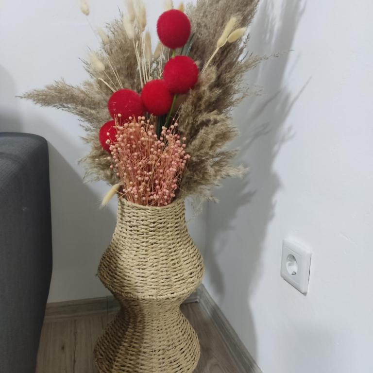 Ticina apartment - Deluks Studio - 26