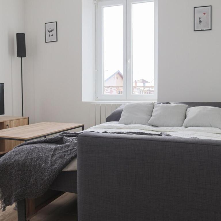 Le carré, appartement de ville - Appartamento con 1 Camera da Letto - 4