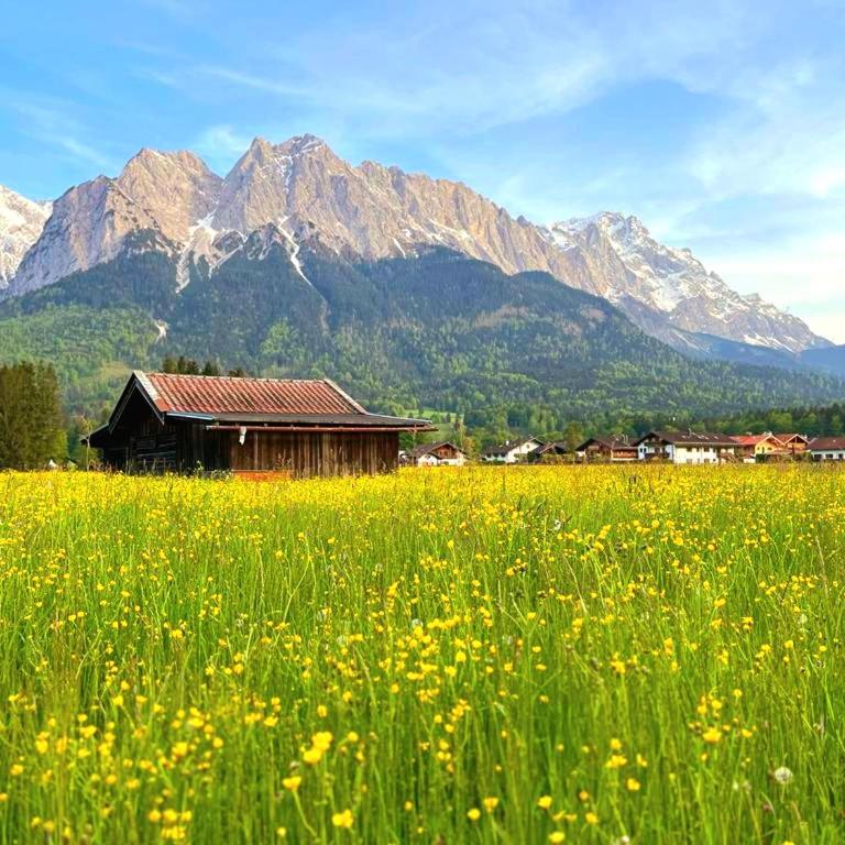 Jägerlodge am Waldrand in Grainau - Apartment mit 2 Schlafzimmern - 33