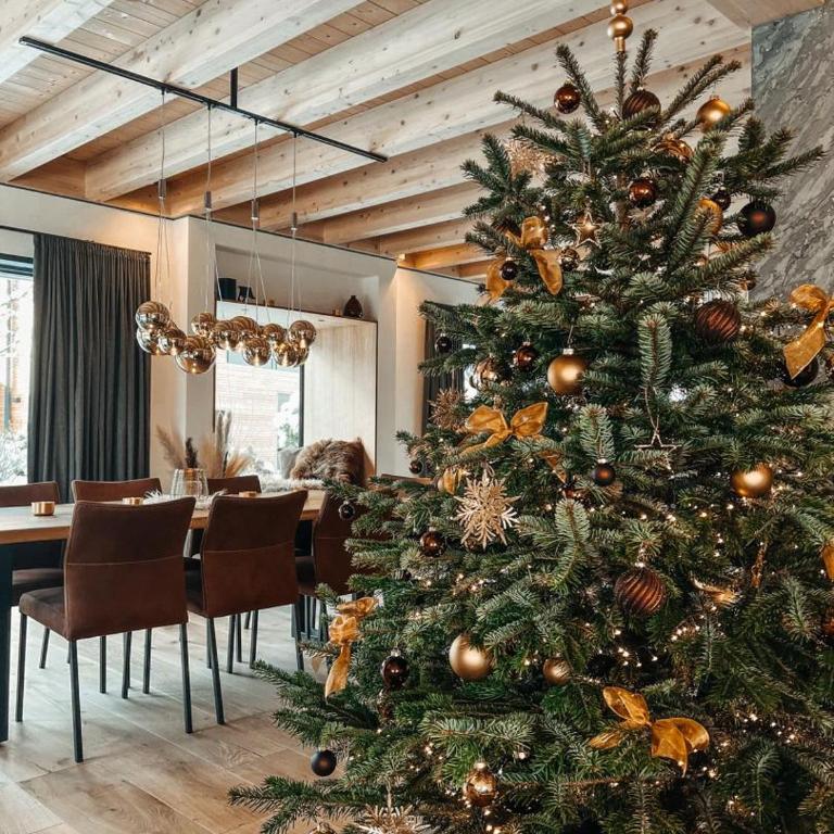 ZSAM Chalets mit Sauna und Hottub - Haus mit 3 Schlafzimmern - 63