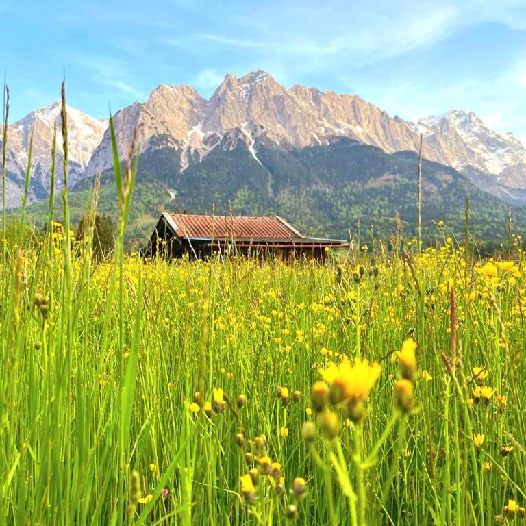 Alpenlodge am Waldrand in Grainau - Apartment mit 2 Schlafzimmern - 23