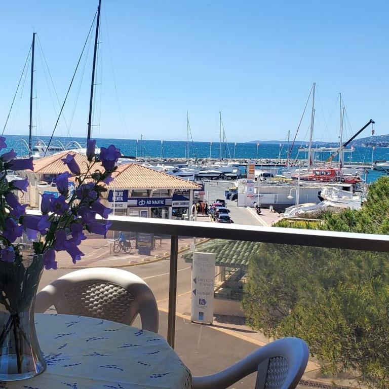LE CAPITOLE Vue mer Studio cabine 27m2 les pieds dans leau 2 adultes 2 enfants clim et garage - Studio with Balcony - 7