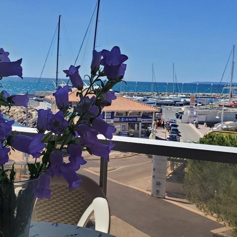 LE CAPITOLE Vue mer Studio cabine 27m2 les pieds dans leau 2 adultes 2 enfants clim et garage - Studio with Balcony - 16