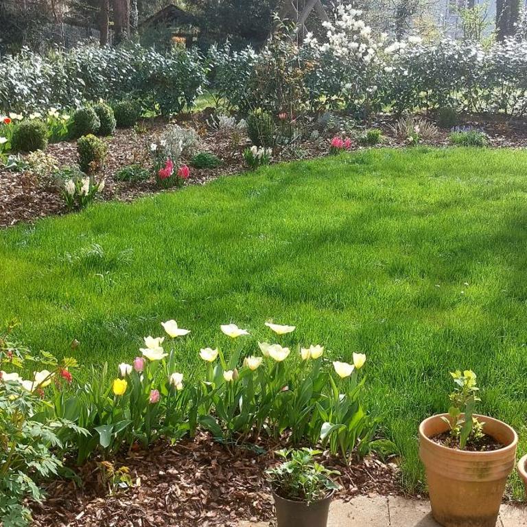 Sunny garden flat in Munich - One-Bedroom Apartment - 4
