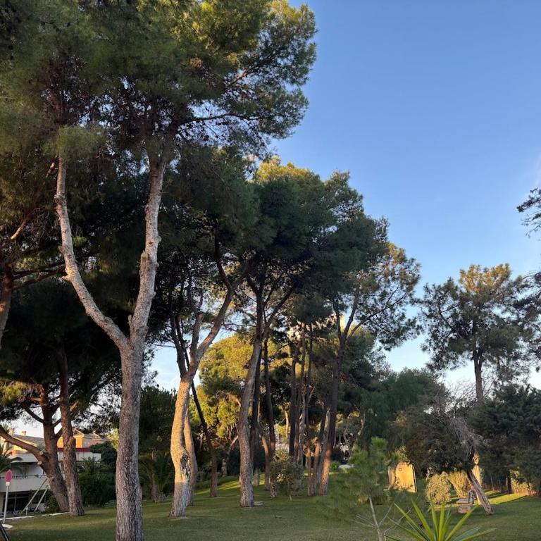 Wonderful apartment in Marbella Enjoy the fantastic views - Apartamento Estudio con vistas al mar - 21