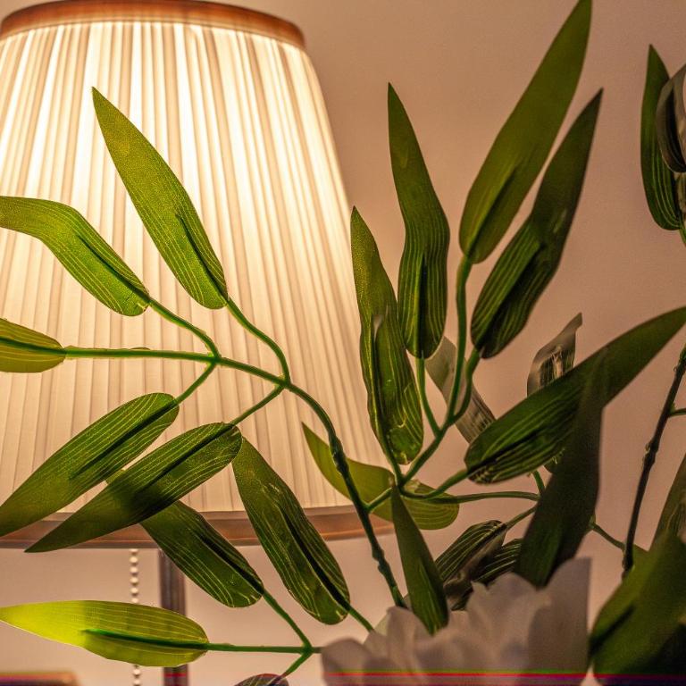 iFlat Classy & Spacious apt near Campo de Fiori - Appartamento con 2 Camere da Letto e Vista Città - 14