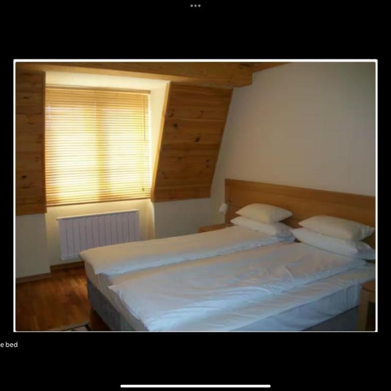 Apartman 306 Privatni u sklopu Hotela Vučko Jahorina - Apartman sa 2 Spavaće Sobe - 6