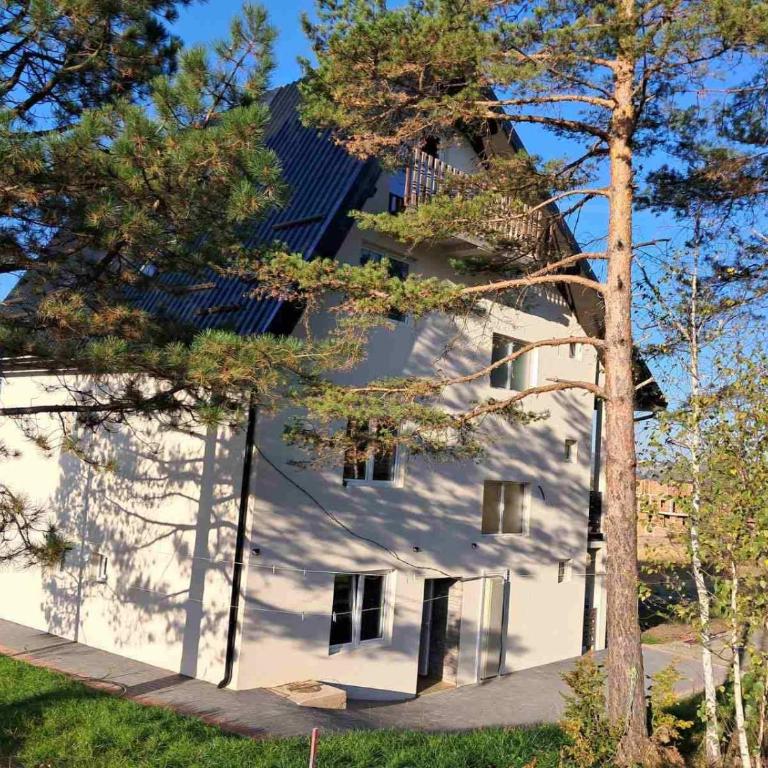 Apartmani Divcibarska oaza - Apartment - 6