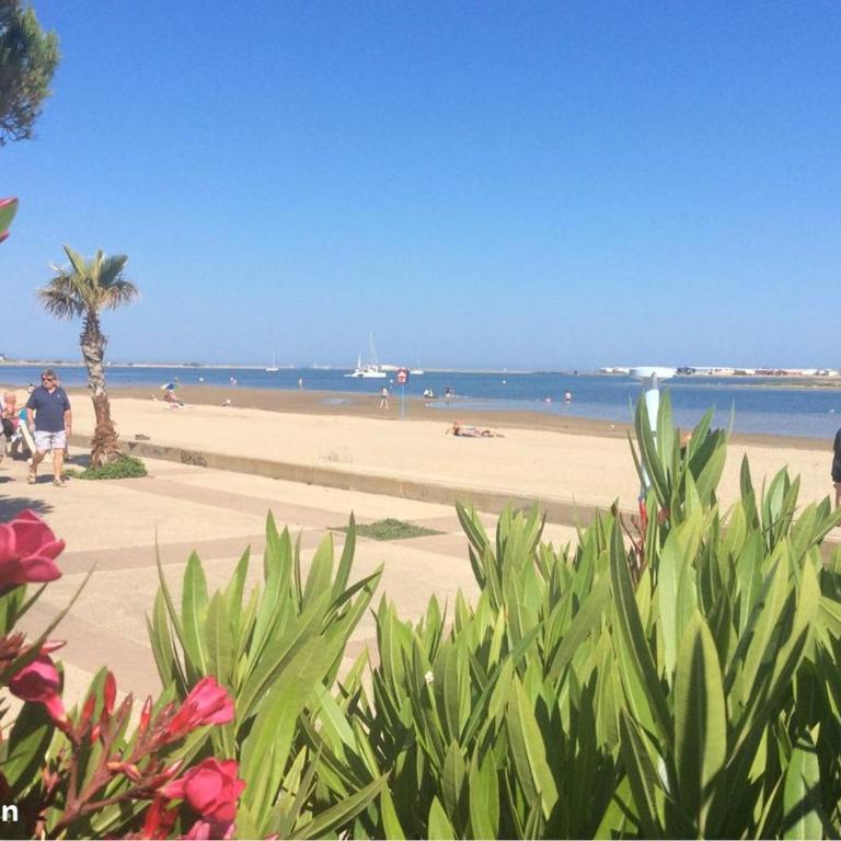 VILLA DU PIN - Les pieds dans l'eau - Gruissan Plage du Grazel - Maison 2 Chambres - 28