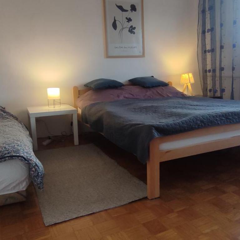 Family Accomodation Savic - Obiteljski apartman sa dvije spavaće sobe s pogledom - 4