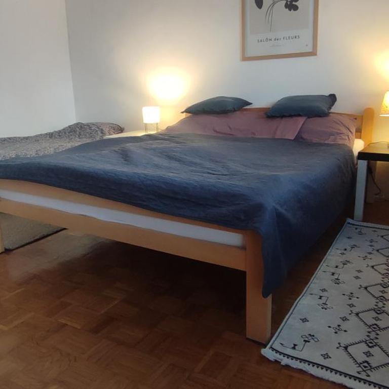Family Accomodation Savic - Obiteljski apartman sa dvije spavaće sobe s pogledom - 3