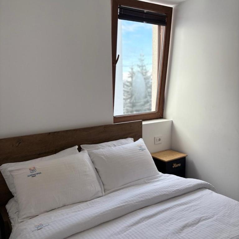 Mr Alek - Luxury Apartment Kopaonik - Deluxe Apartment - 15