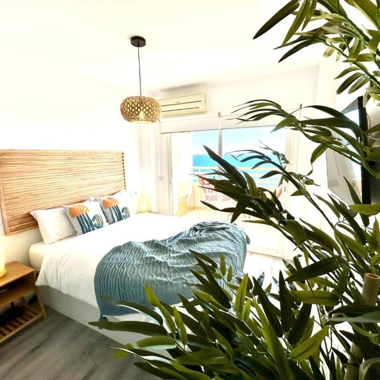 Stella Maris - Amazing frontal sea views with pool & terrace by 10ToSea - Estudio - 8