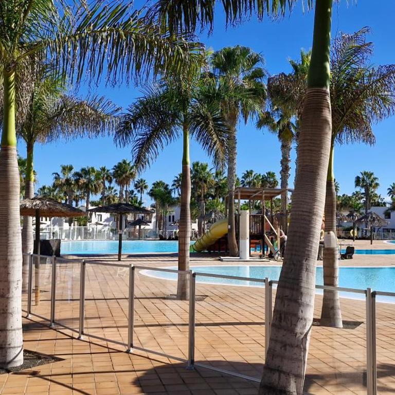 Casa surf Oasis - One-Bedroom Apartment - 18