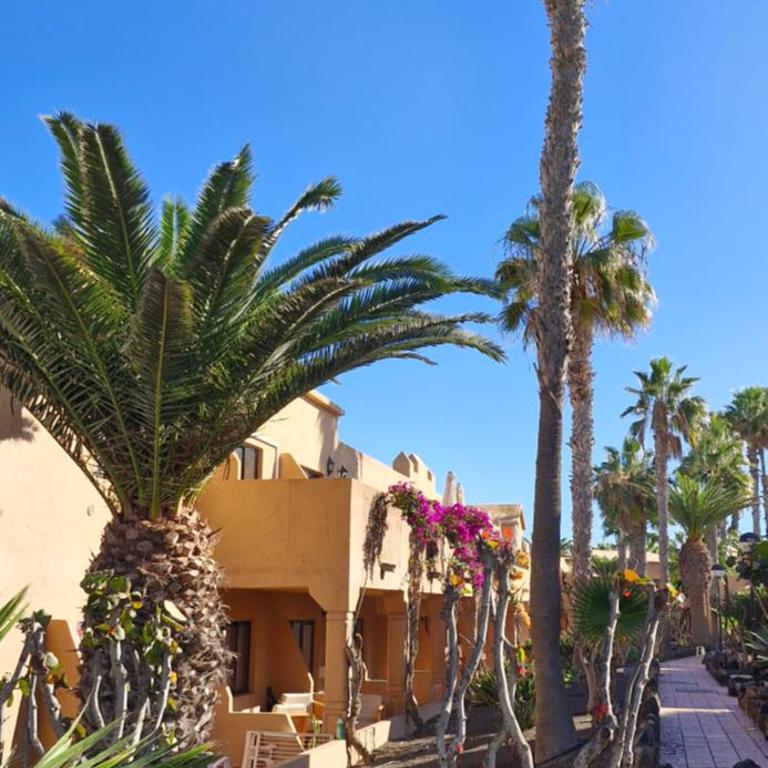 Casa surf Oasis - One-Bedroom Apartment - 9