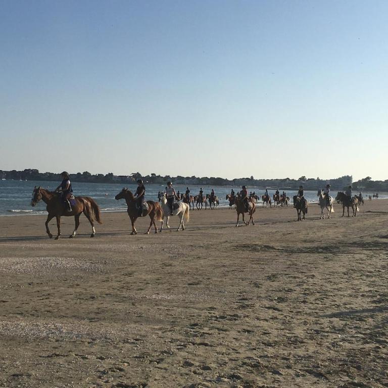 25m Plage Benoit Grands Hôtels 3p Salon 2 Chambres 65m2 - Appartement 3 Chambres - 17