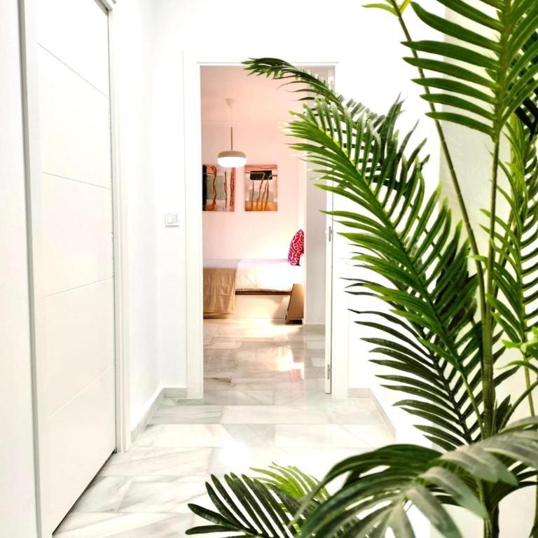 Edificio Francisco Cano by 10Tosea - Apartamento de 1 dormitorio - 8