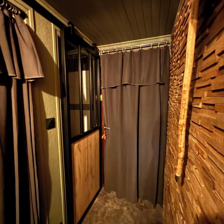 Cocon d'Orcieres, La montagne What else - Appartement 1 Chambre - 29