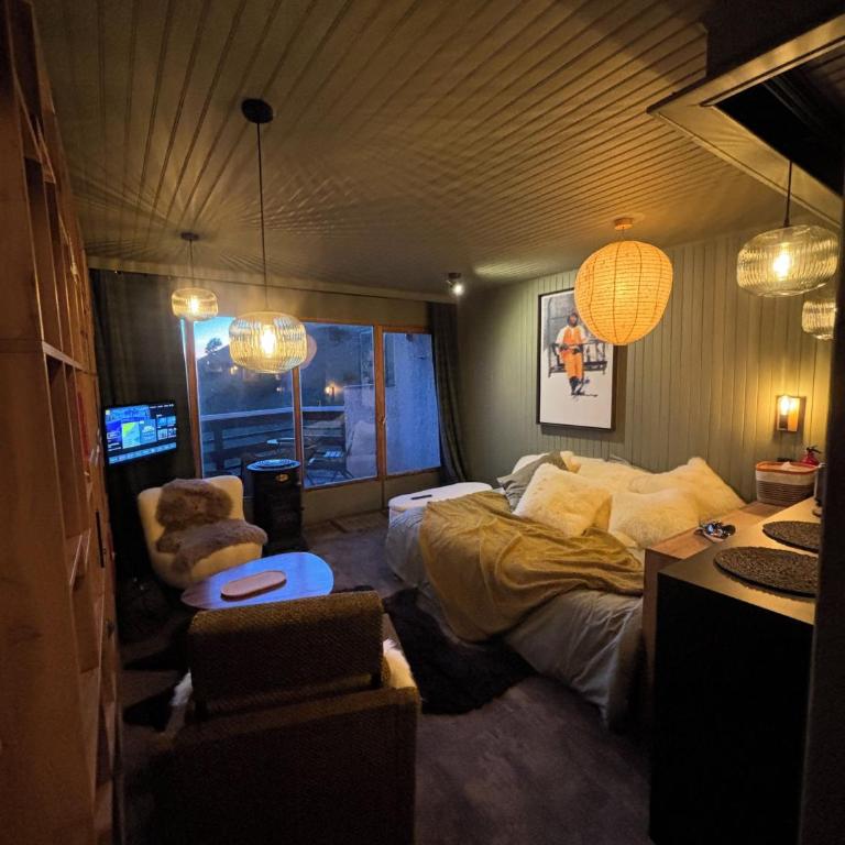 Cocon d'Orcieres, La montagne What else - Appartement 1 Chambre - 17