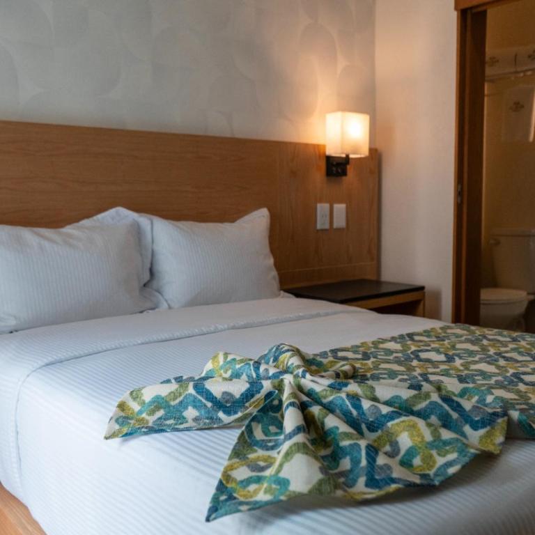 FCH Hotel Minerva-CAS - Habitación Deluxe - 1