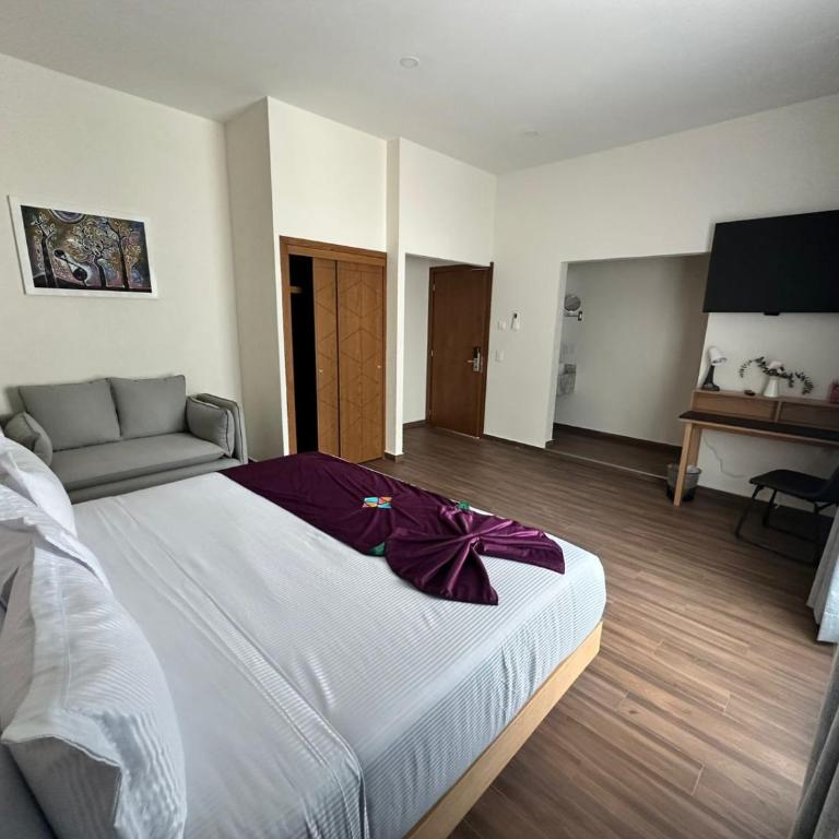 FCH Hotel Minerva-CAS - Suite Deluxe - 1