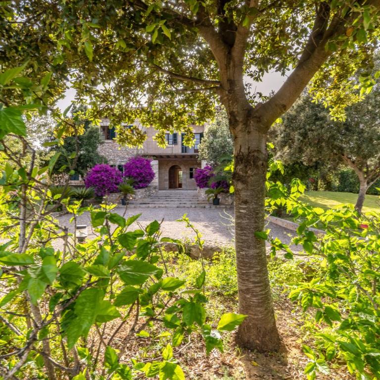 Bovis Gran - Villa Deluxe - 41