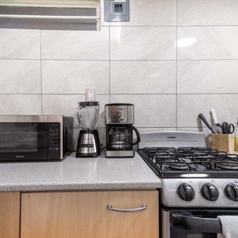 T301 - 1 BR - 1 BTh - One-Bedroom Apartment - 4
