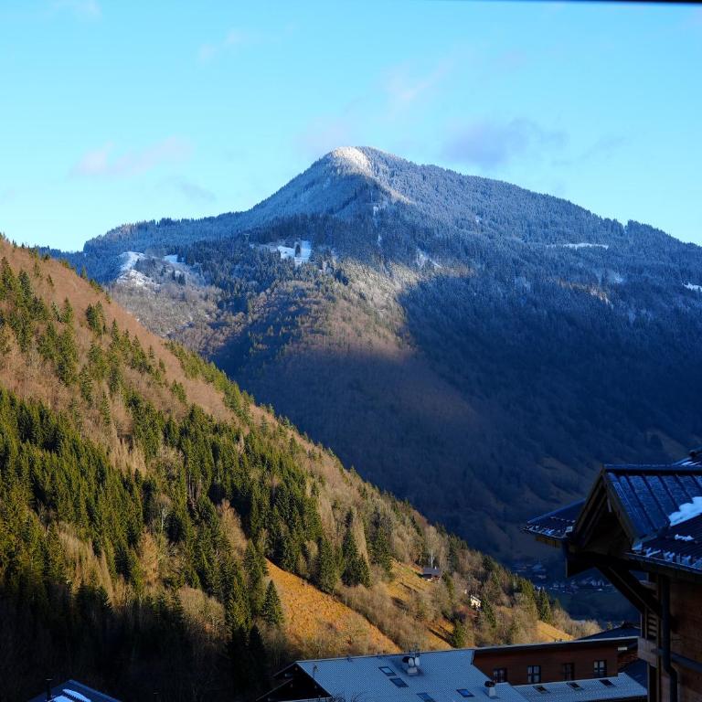 Appartement charmant au pied des pistes - Appartement 2 Chambres avec Vue sur la Montagne - 21