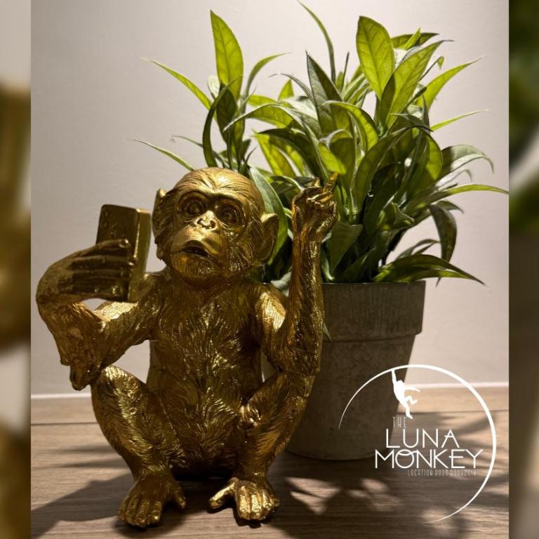 Luna Monkey, Chambre & Terrasse privée, Bourgoin Centre - Chambre Double avec Salle de Bains Privative - 14