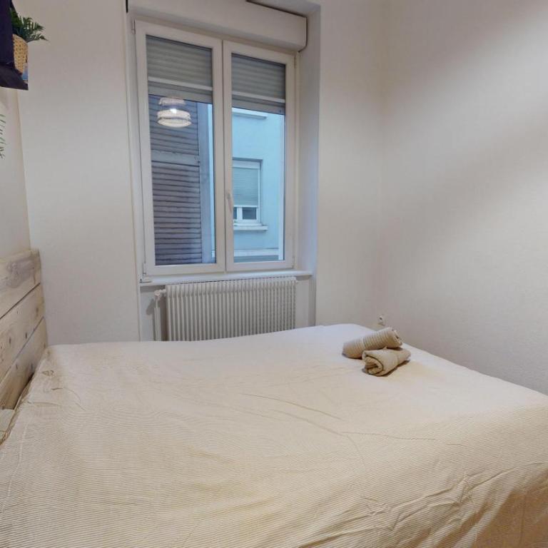 Le Majestic & Pool Mulhouse - Appartamento con 3 Camere da Letto - 22
