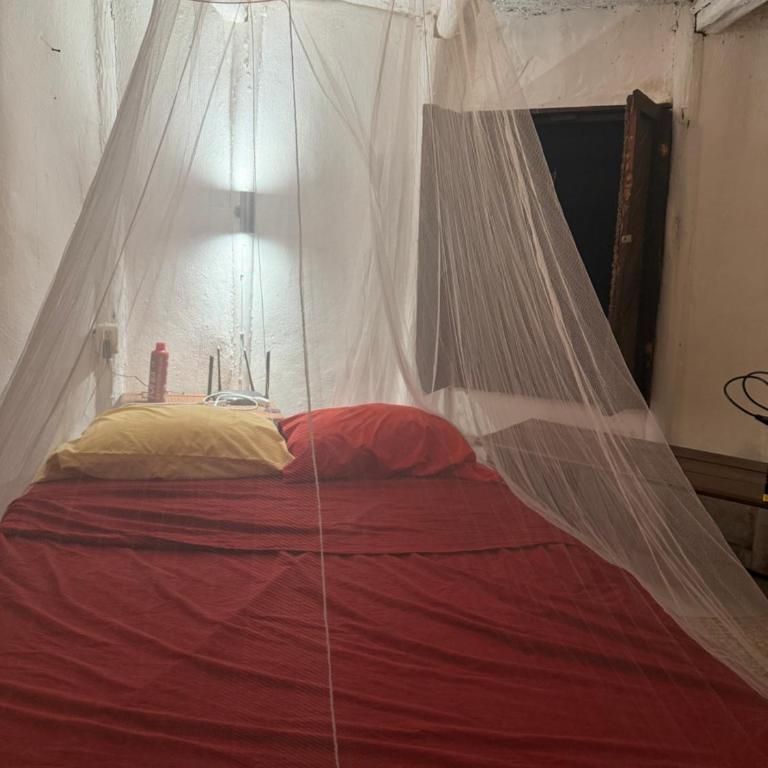 Tree House Tulum - Double Room with Patio - 1