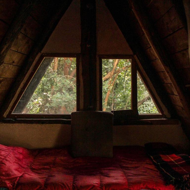 Meraki refugio de montaña - Habitación Compartida Mixta - 2