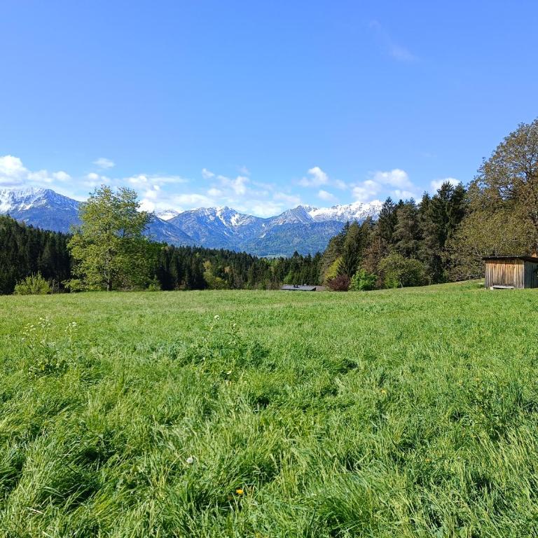 Idyllische Süd-Wohnung in Wörtherseenähe für zwei Personen - Apartment mit 1 Schlafzimmer - 8