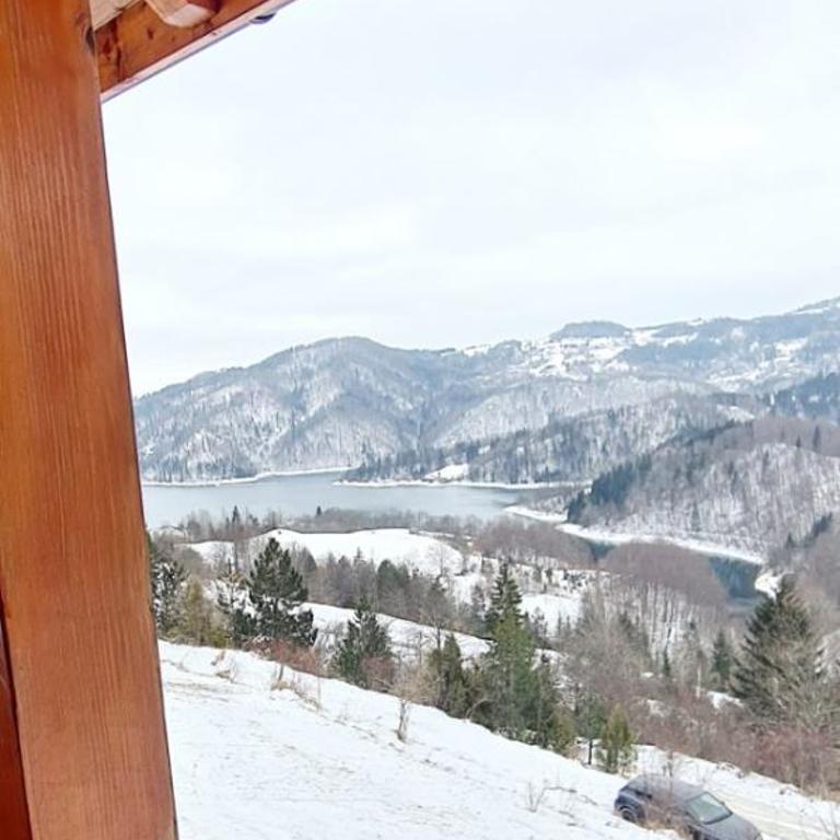 Zaovinska Panorama I - Apartman sa 1 Spavaćom Sobom - 13