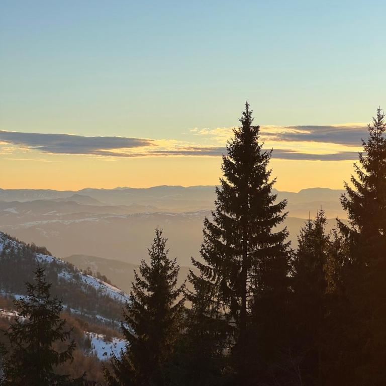 Apartment A13 Kopaonik - Apartment with Mountain View - 2