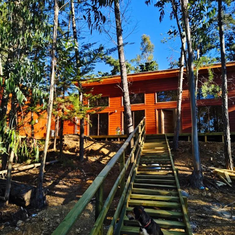 Cabañas Bosque marino - Six-Bedroom House - 1